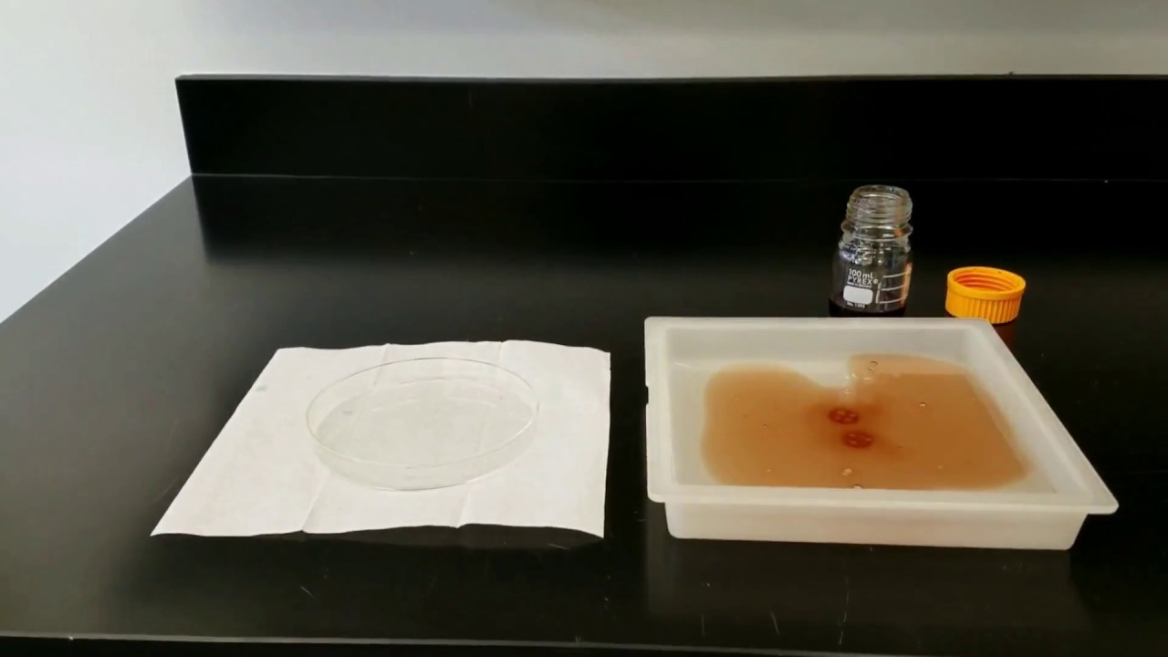 Superhydrophobic/Oleophilic Absorbent Material for Crude Oil Cleanup