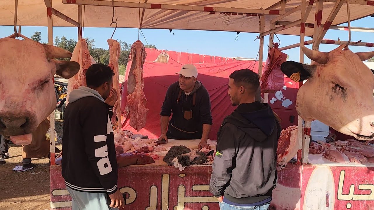 🇲🇦مباشرة من سوق حد سطات مع أتمنة اللحوم حمراء تاريخ تصوير 5/1/2025
