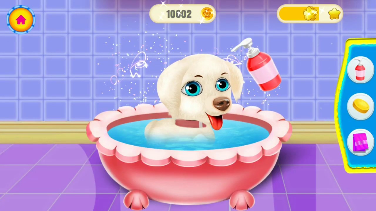 Baby Pet Labrador Care Puppy Nanny Daycare