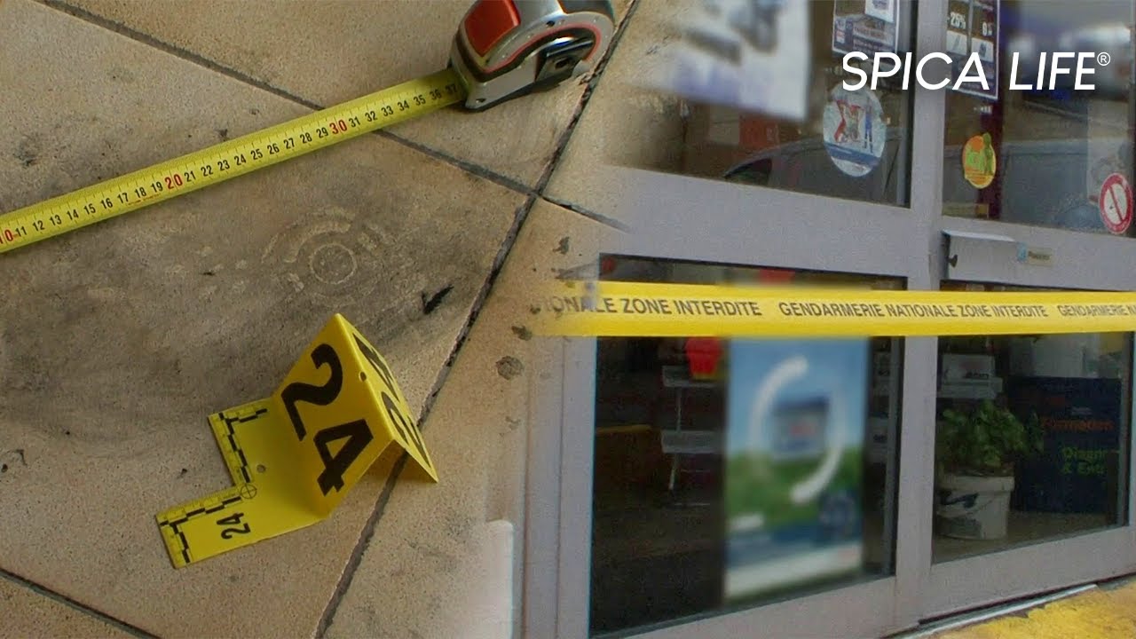 POLICE vs CAMBRIOLEURS : nouvelle razzia dans le sud
