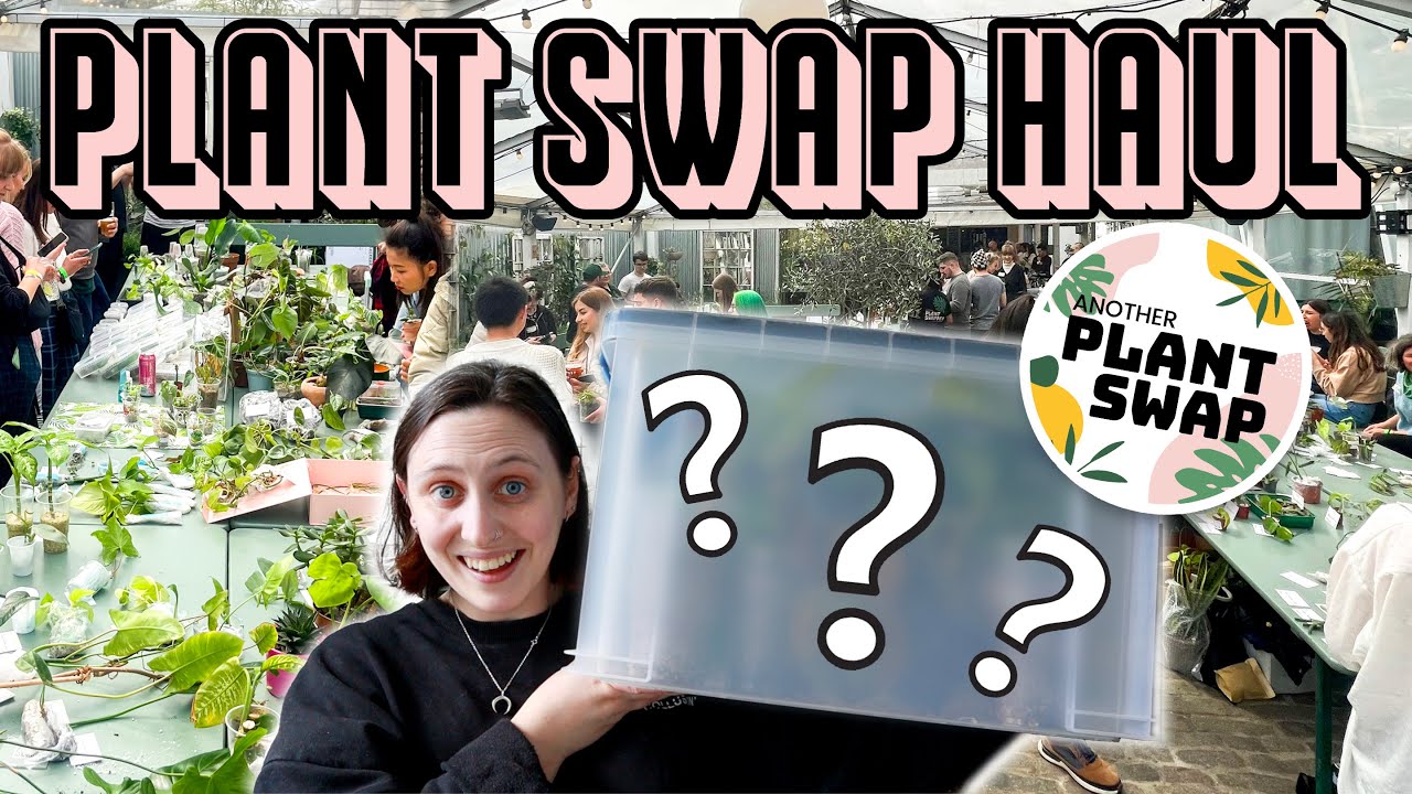 come plant swap with me 🔄🌱 Another Plant Swap Haul