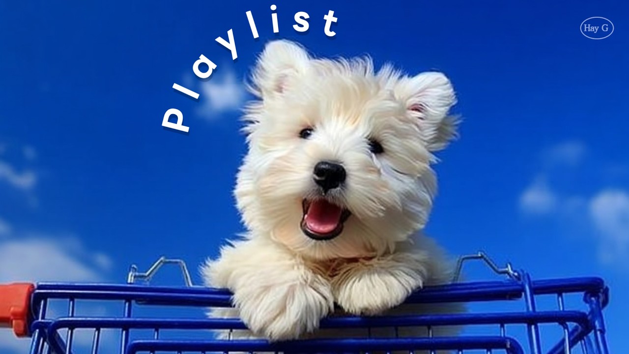 Playlist 🌼 사장님, 노래가 너무 좋아요 🐶 지나가다 멈칫해서 물어보는 노래 모음ㅣ기분 UP 해주는 모닝 플리 ㅣ매장음악 · 출근길 · 작업할 때 · 카페