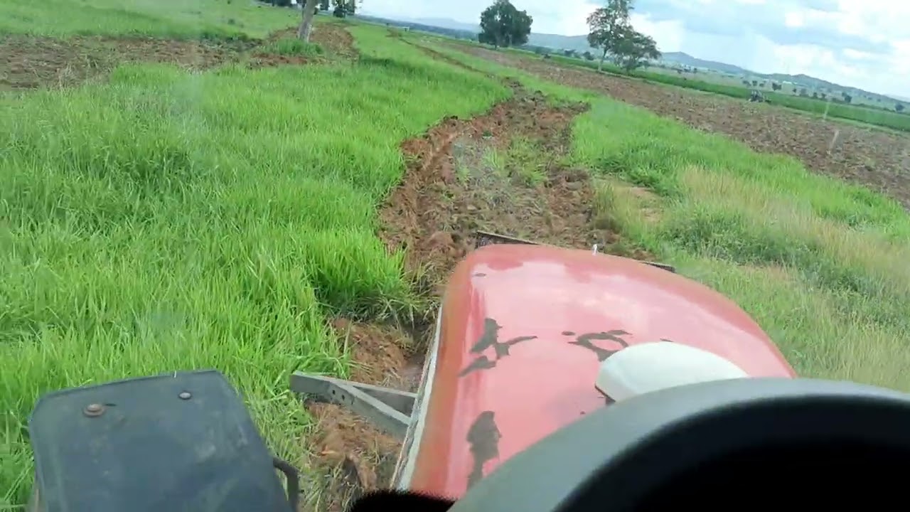 Mf 7415 na grade super pesada, iniciando mais um preparo de solo.