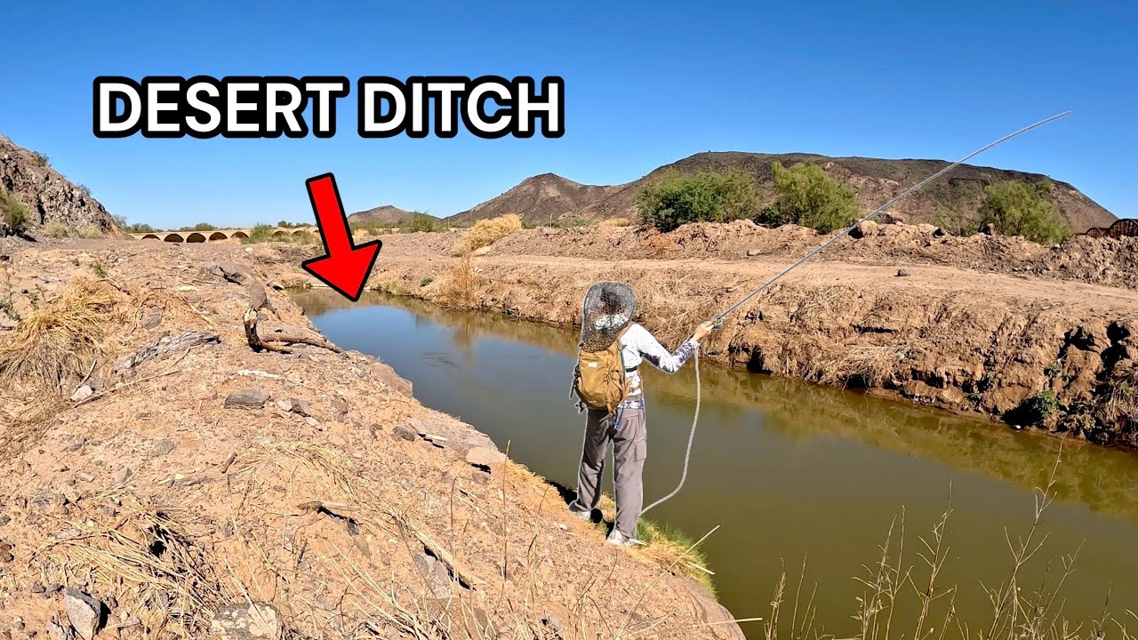 I Fly Fished a Desert Ditch — It Was PACKED With Fish!