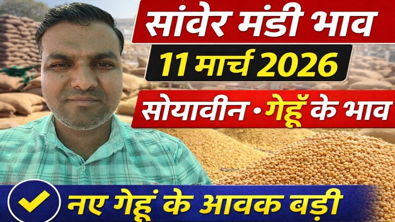 सांवेर मंडी भाव 11 मार्च 2026 सोयाबीन गेहूं के भाव 