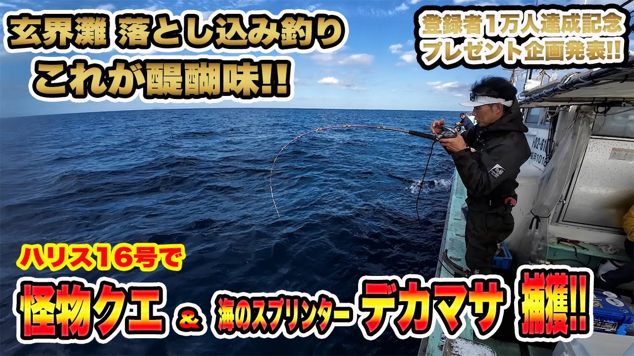 【玄海灘】落とし込み釣り今が旬❕ラッシュはいつ終わる⁉入れ食い状態❕大型クエ・ヒラマサ乱舞❕