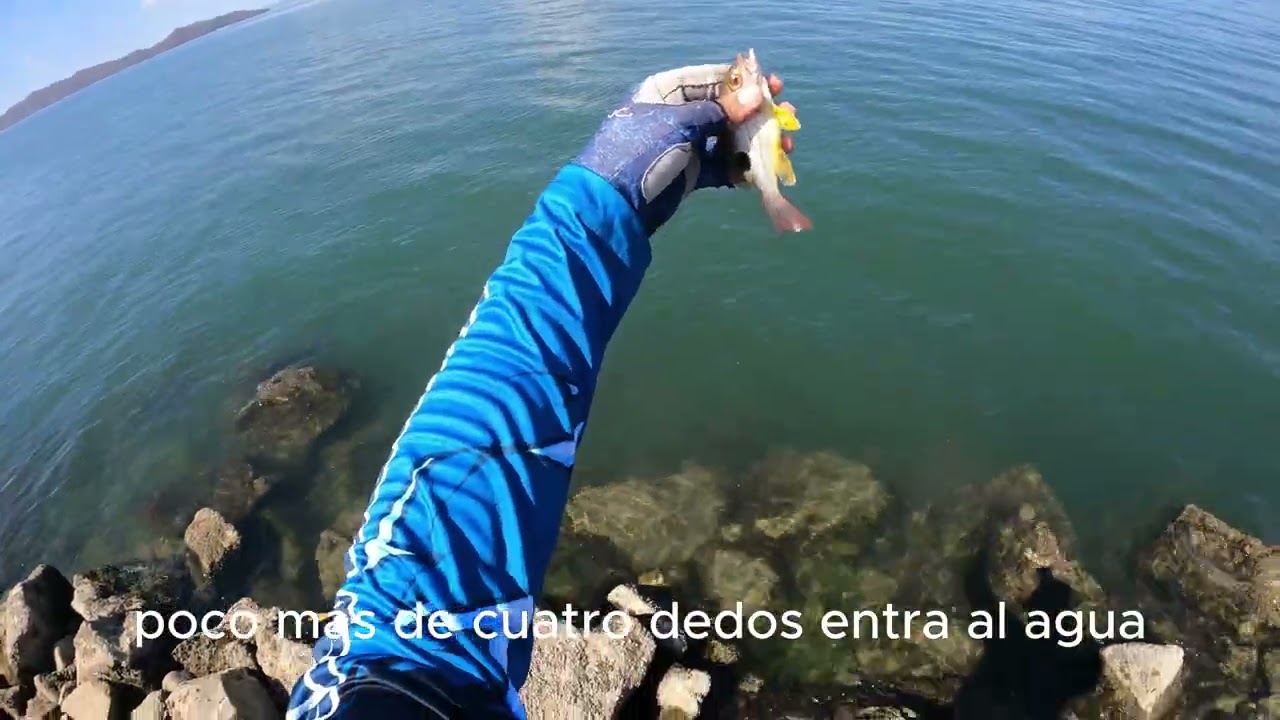 otro día mas en roma del mar