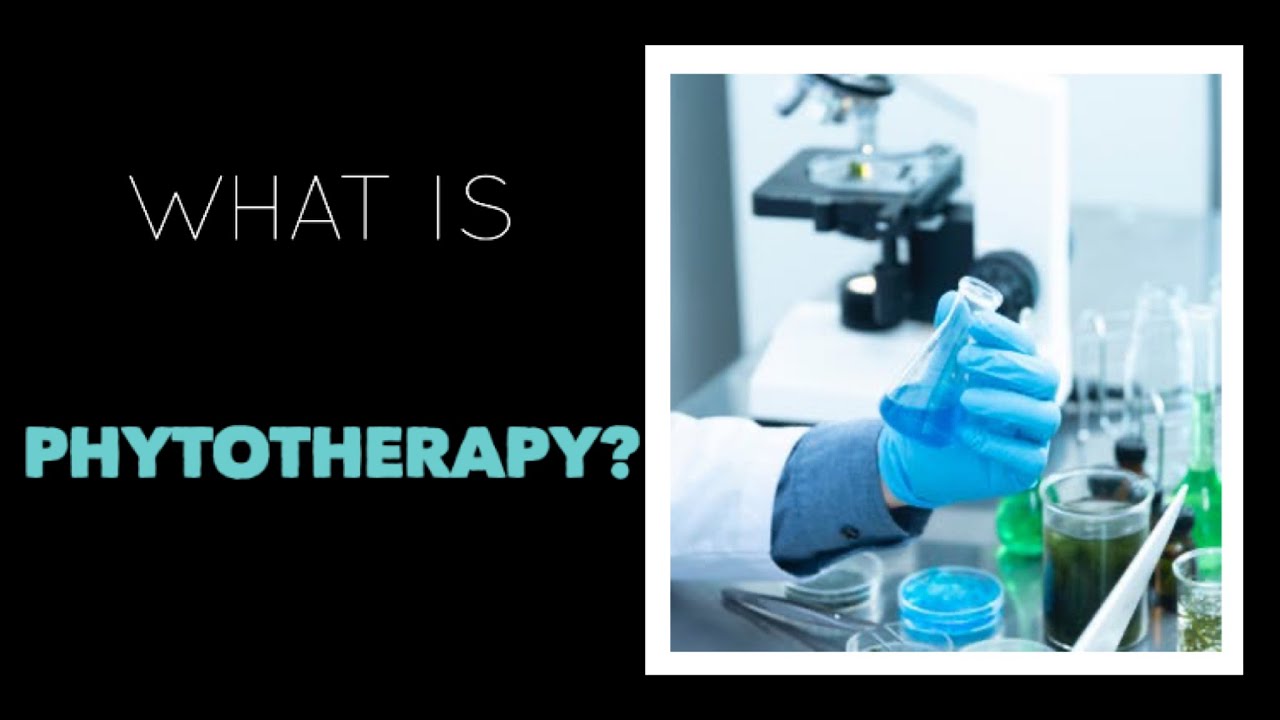 What is Phytotherapy?