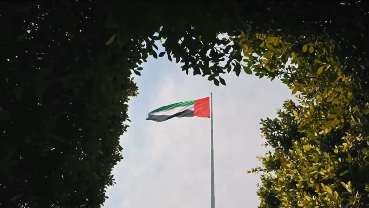 حكومة الإمارات: نموذج عالمي للمرونة والابتكار في العمل الحكومي