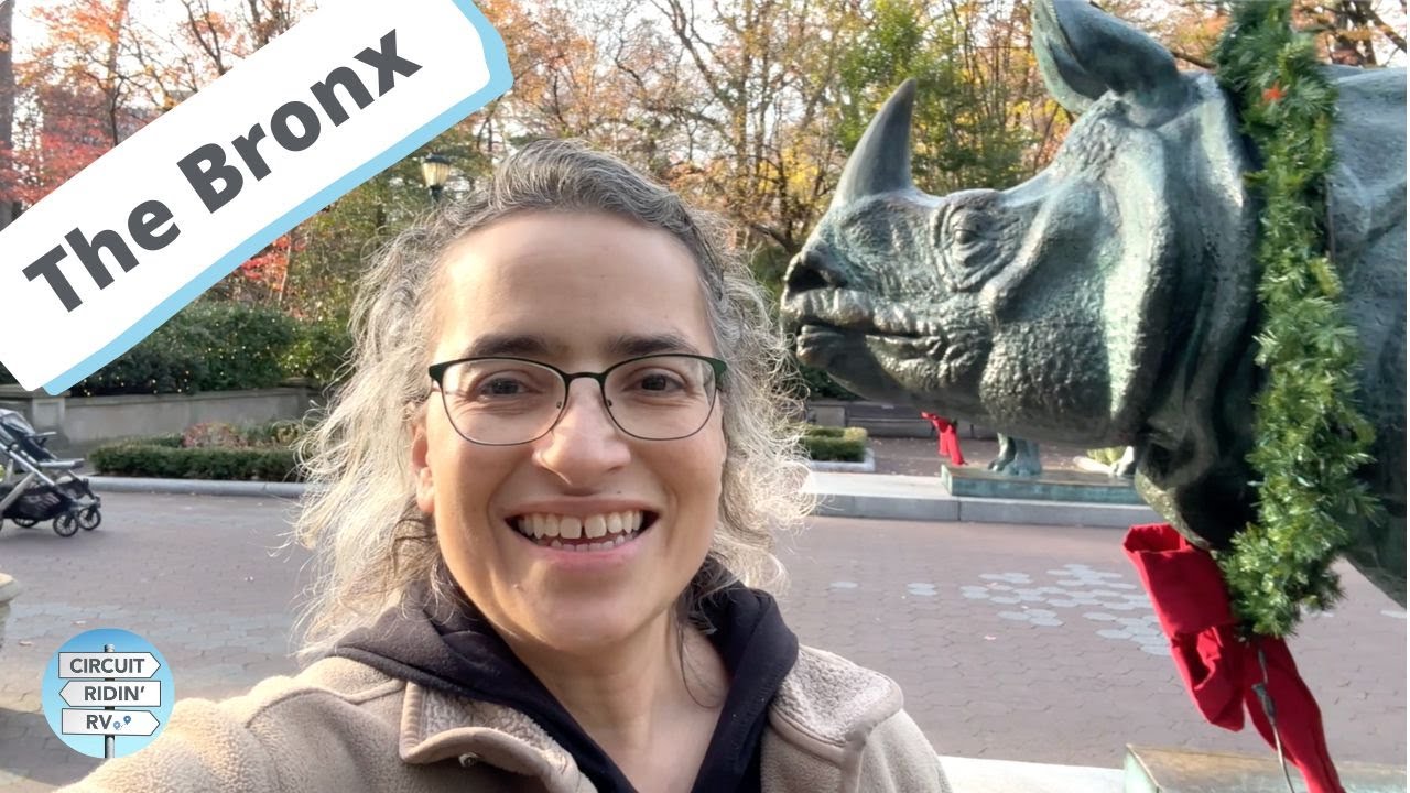Эпизод 207: Не тот автобус до Бронксского зоопарка и Маленькой Италии!