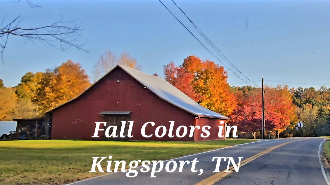 Fall Colors on Display in Kingsport, TN