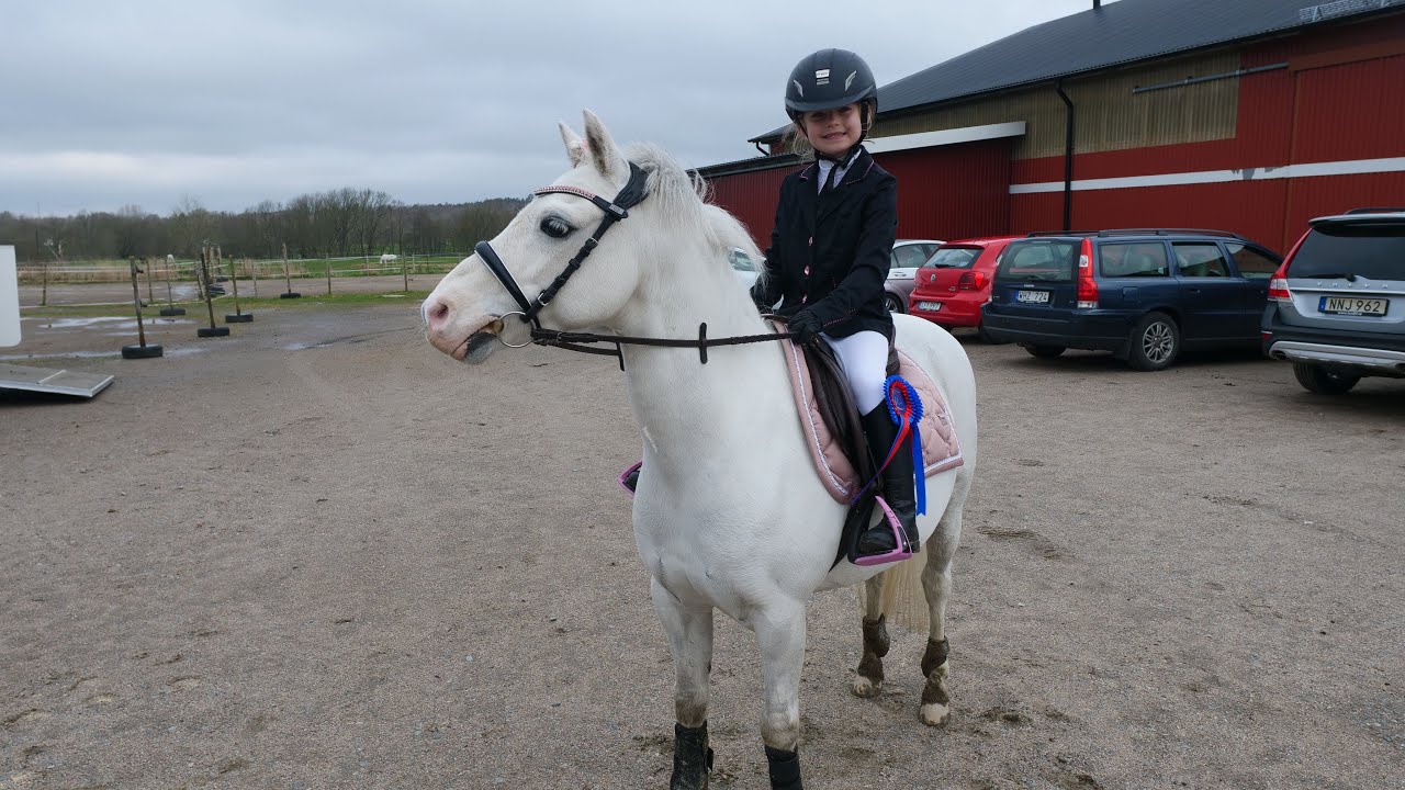 Hailey & Shaggy Pay and jump stora Höga 2018