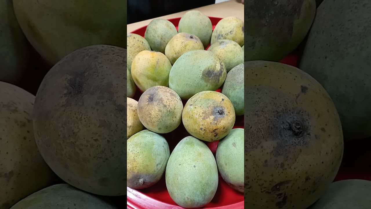 #bdfood #ytshort #viralvideo #seasonalfood #fruit #fruits #shortvideo #viral #foodfestival