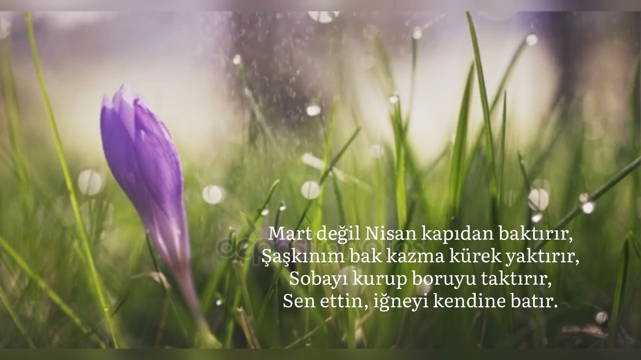 Doğanın Nisan Şakası-İklim Değişikliği Sonuçları