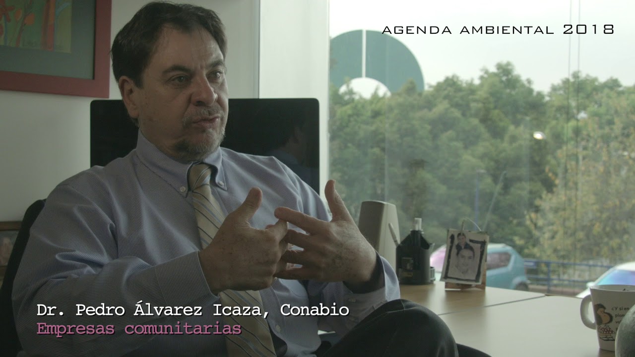 Pedro &Aacute;lvarez-Icaza - Las empresas comunitarias