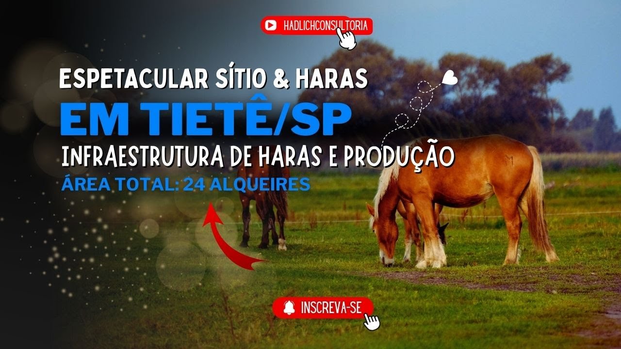 💎Espetacular Sítio & Haras em TIETÊ - SP | 24 Alqueires de Luxo, Lazer e Produtividade.