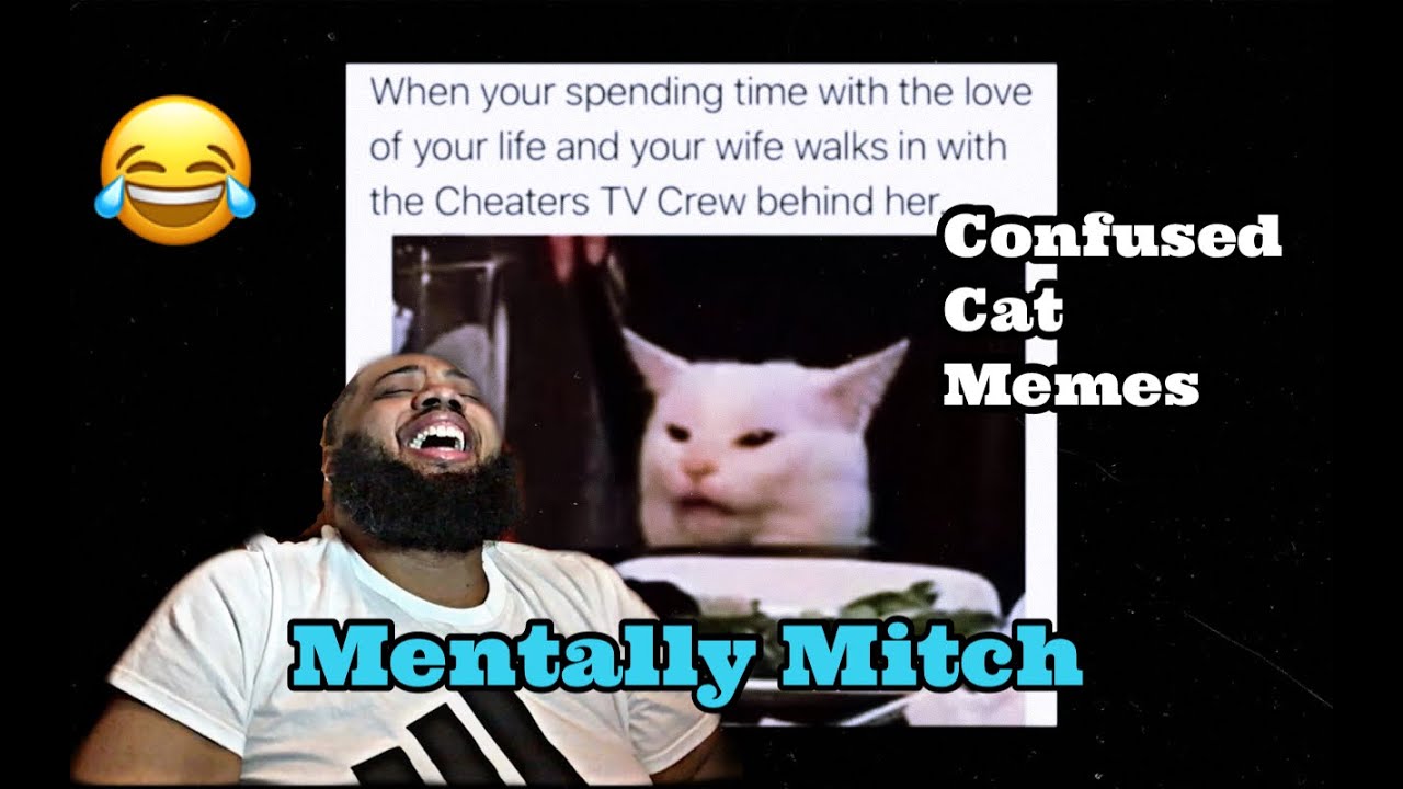 Mentally Mitch - Confused Cat Memes | REACTION