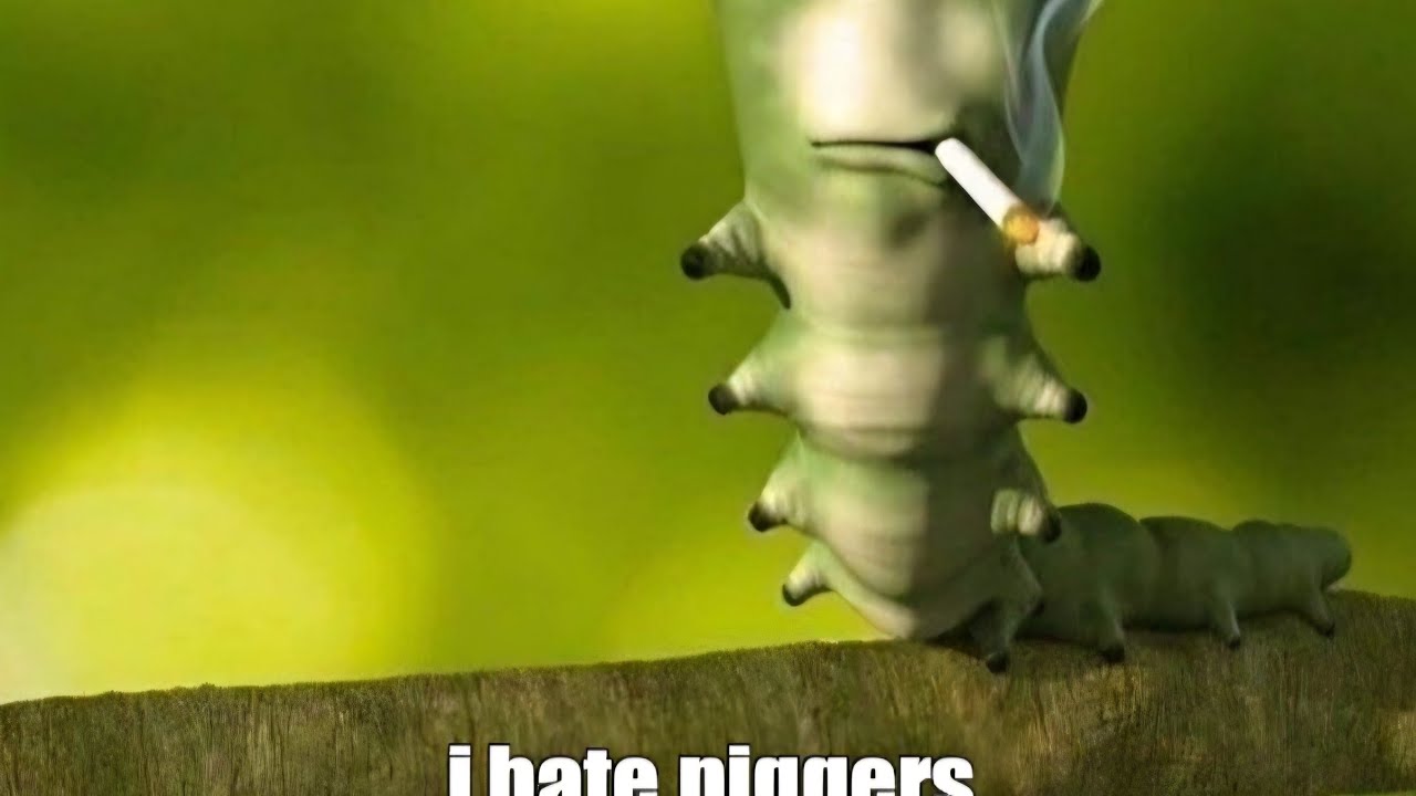 Roblox z ekipkom ;)