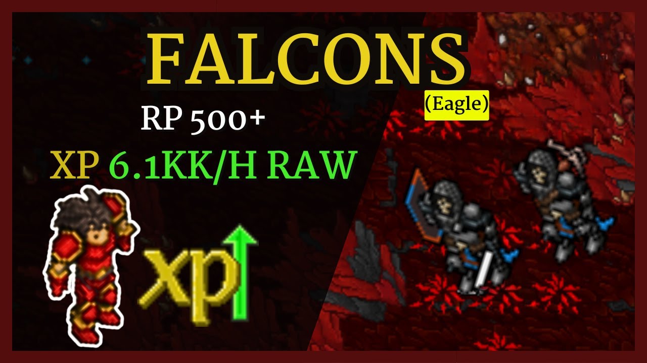Tibia Hunt FALCONS (eagle) / RP 500+ XP 6.1kk/H RAW