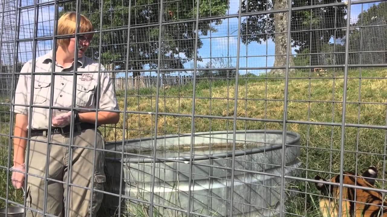 National Tiger Sanctuary 2015