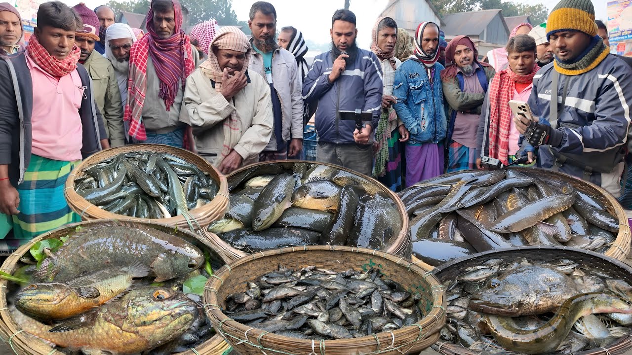 এইবার আড়িয়াল বিলের মাছ শীতের সময় সস্তায় ও বিক্রি হচ্ছে না! কাস্টমার সংকট দোহারের দুবলি বাজারে