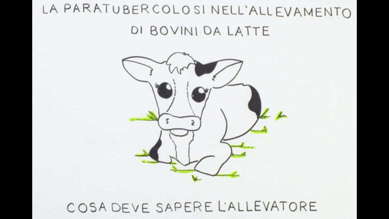 La Paratubercolosi Nell'allevamento Di Bovini Da Latte: Cosa Deve Sapere L'allevatore