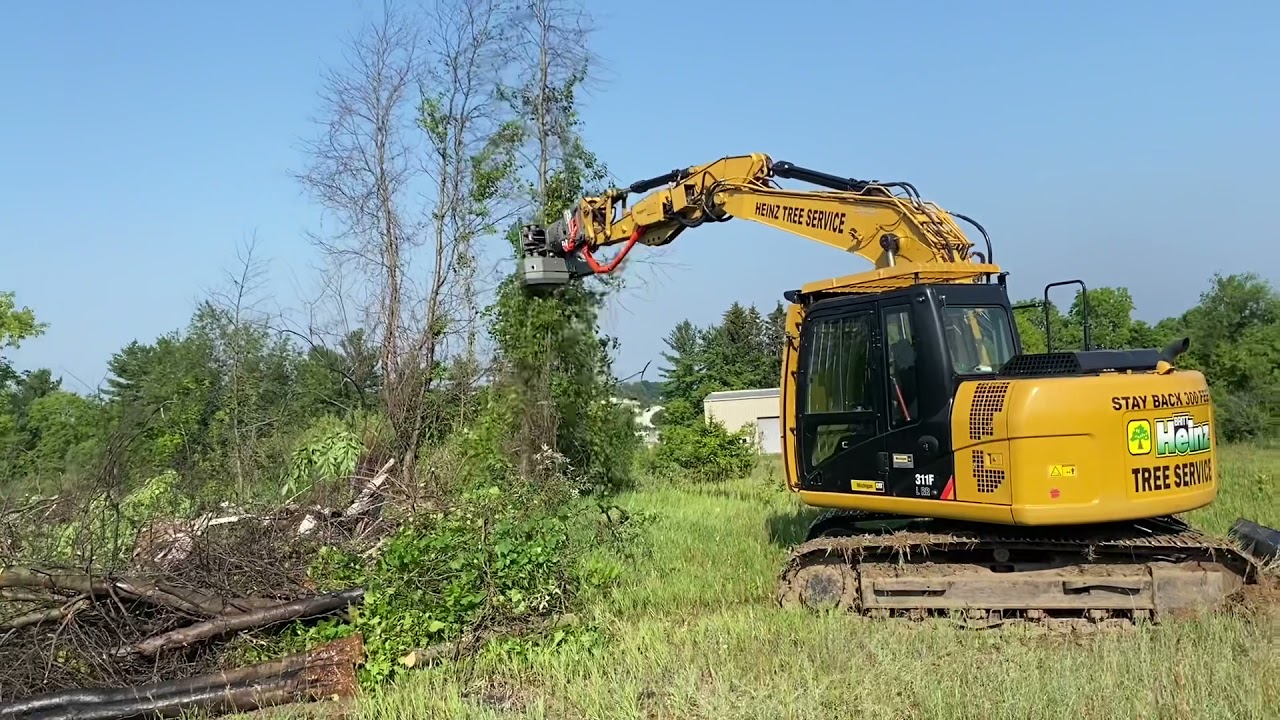 Ryan’s 2059 grapple saw dismantling a few trees on a CAT 311F