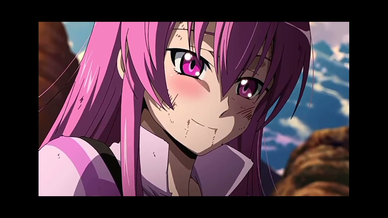 Akame ga kill ❗ Tatsumi und Mine amv millon Days