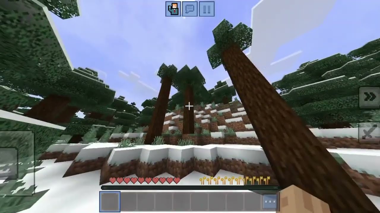 Jo maine Minecraft mein dekha vah AAP Vishwas nahin karoge 😲