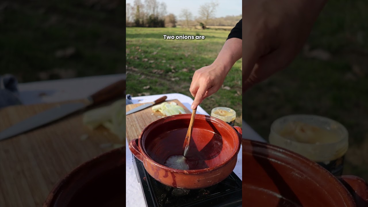 Duck Stew from Gascony (Daube de Canard)