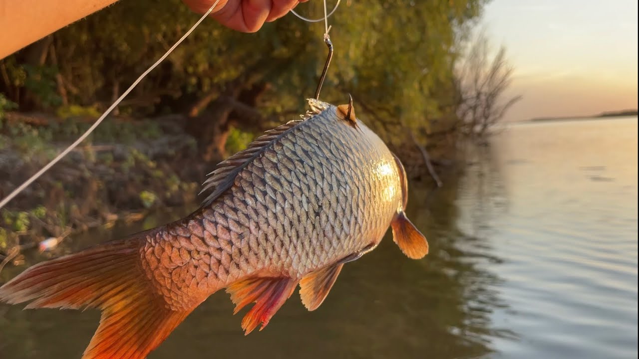 Астраханские МОНСТРЫ насилуют фрикцион. 800гр. ЖИВЕЦ НА ПОСТАВУШКУ