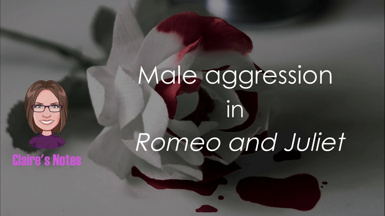 Male aggression in Romeo and Juliet (detailed analysis)