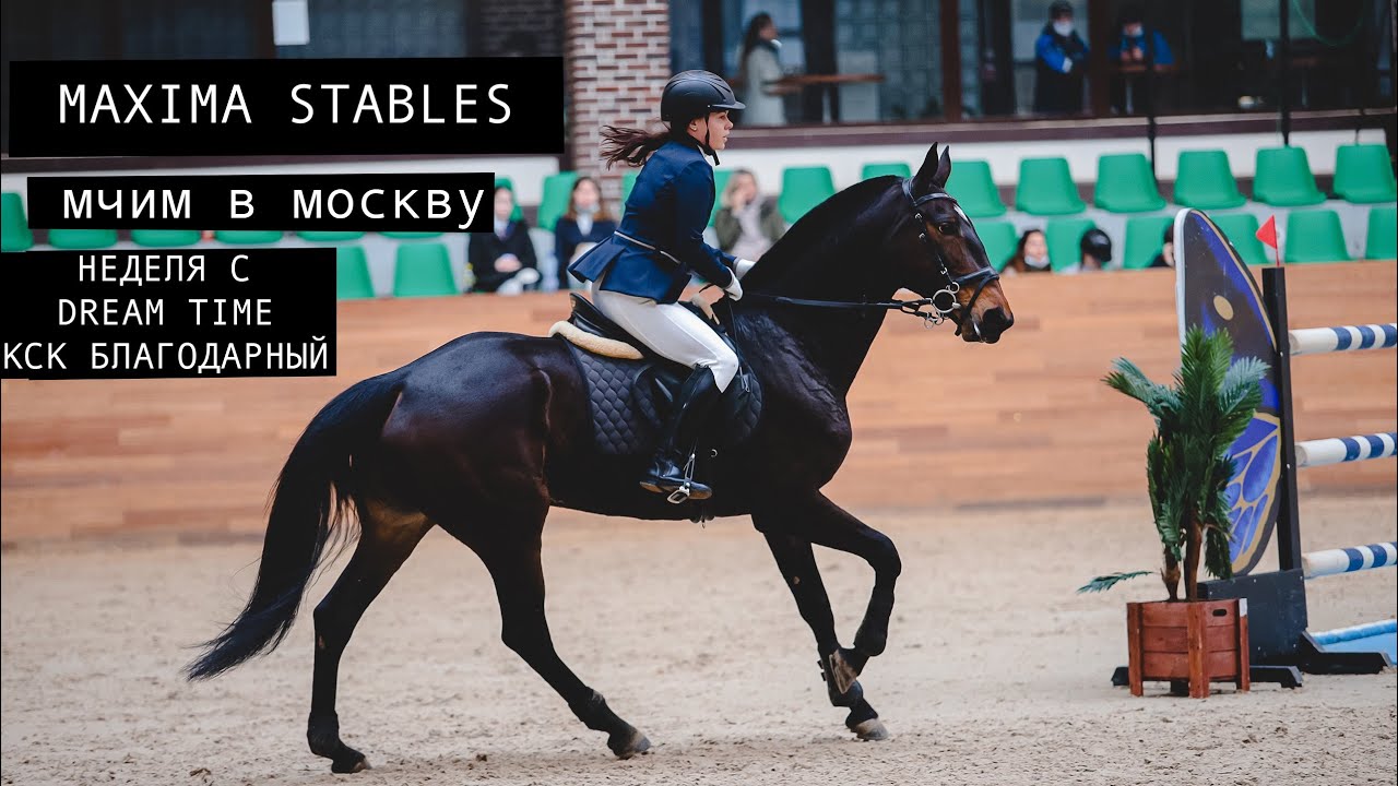 VLOG/ВЛОГ Maxima stables