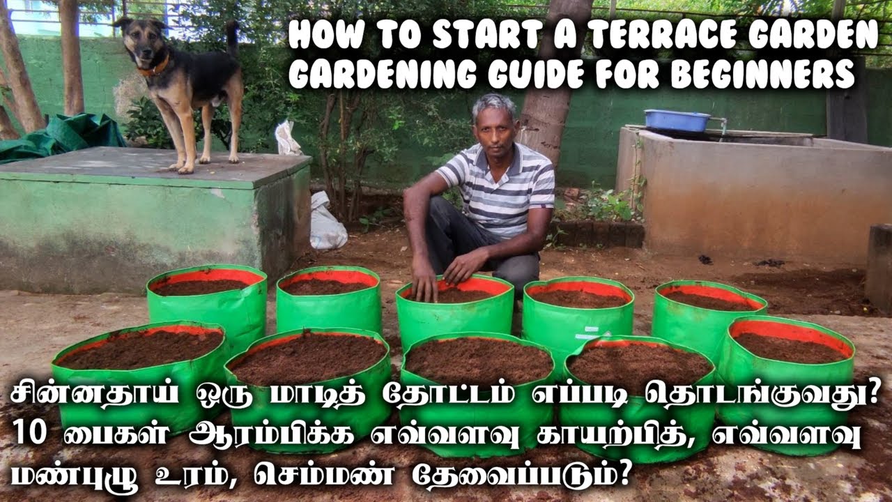 சின்னதாய் ஒரு மாடித் தோட்டம் எப்படி தொடங்குவது? | How to start a terrace garden?