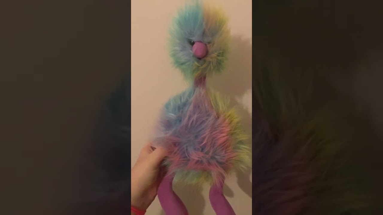 Jelly cat collection !! 