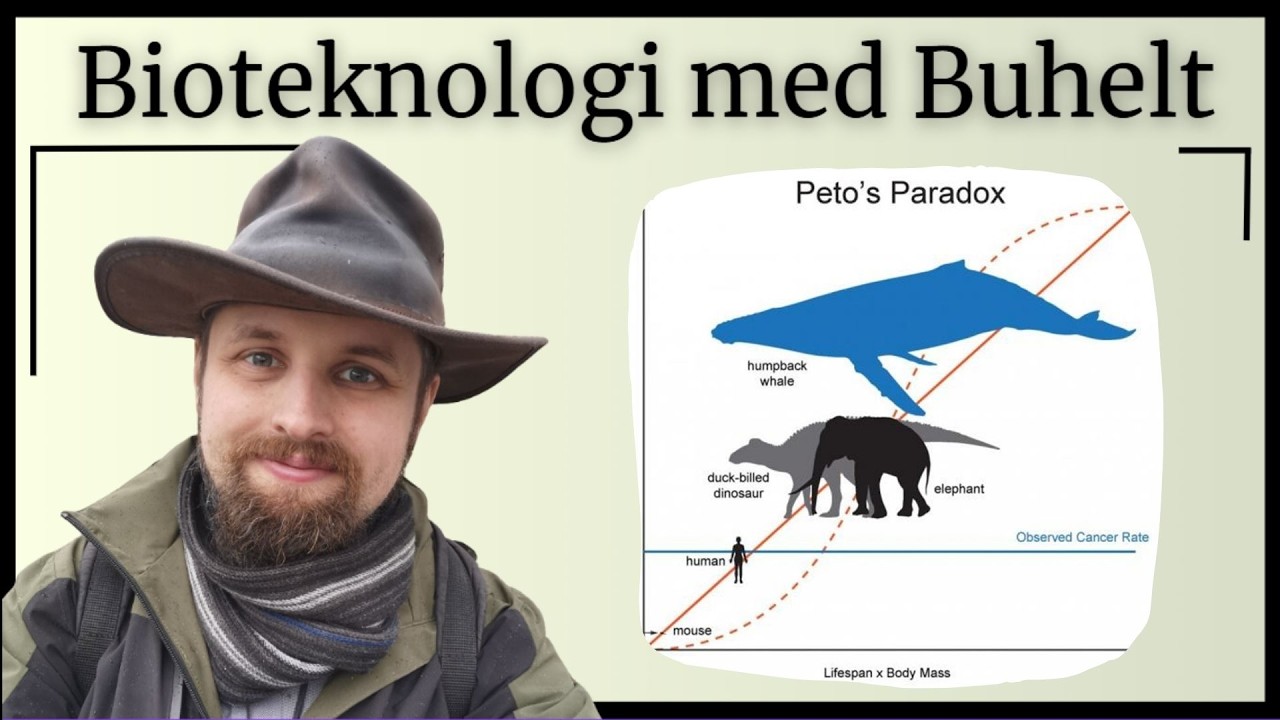 Bioteknologi - cancer og stamceller