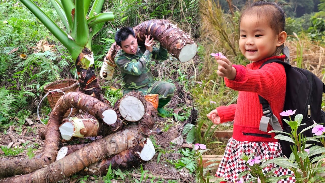 FULL VIDEO: Harvesting fruits, Wild Taro - Make Smoked Pork - Gardening - Animal Care-Cooking -Farm