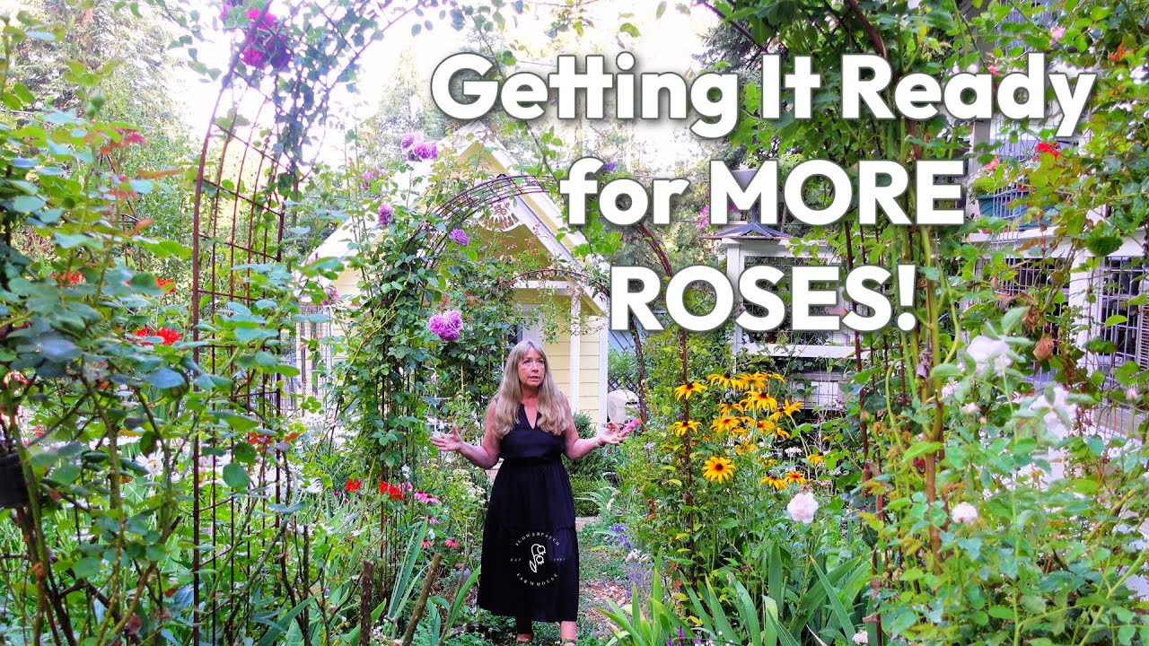 August Rose Cottage Garden Tour | Digging and Dividing for More Roses