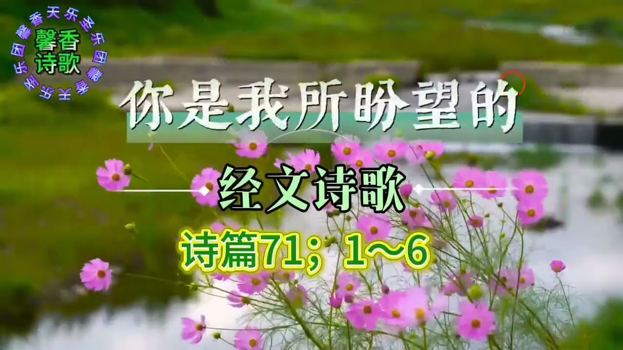 谱&C调有旋伴奏《你是我所盼望的》馨香天乐圣乐团契