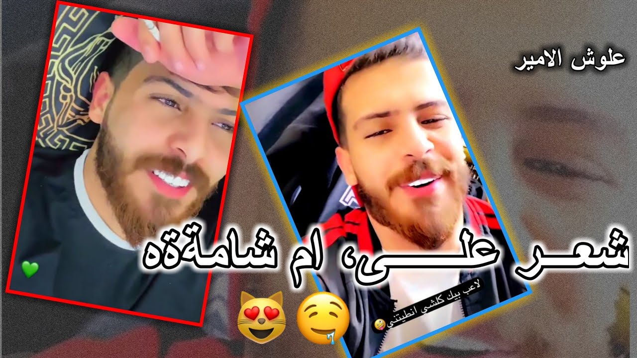 علوش الامير يحجي شعر غزل على ام الاسـود 😻💙 ام شامه - ضحكتج كلش تخصني! شحسبالك من رحت ذليتني؟