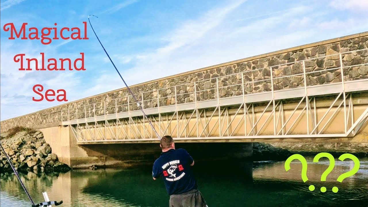 Magical Inland Sea . Anglesey/Holyhead  UK Sea Fishing