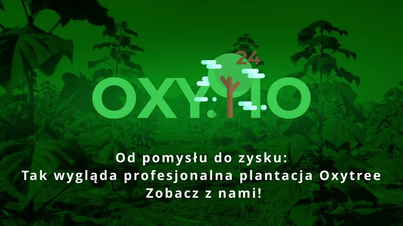 🤫 Sekret ZYSKOWNEJ Plantacji Oxytree (PAULOWNIA) 🌳  Zobacz, jak to robimy!✅
