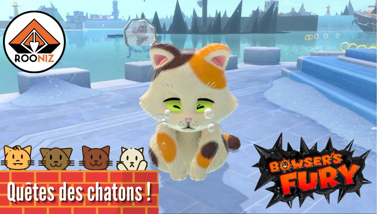 Bowser's Fury Guide Fr - Lac Saudechat positions des chatons perdus ! All Lost Kitten Locations !
