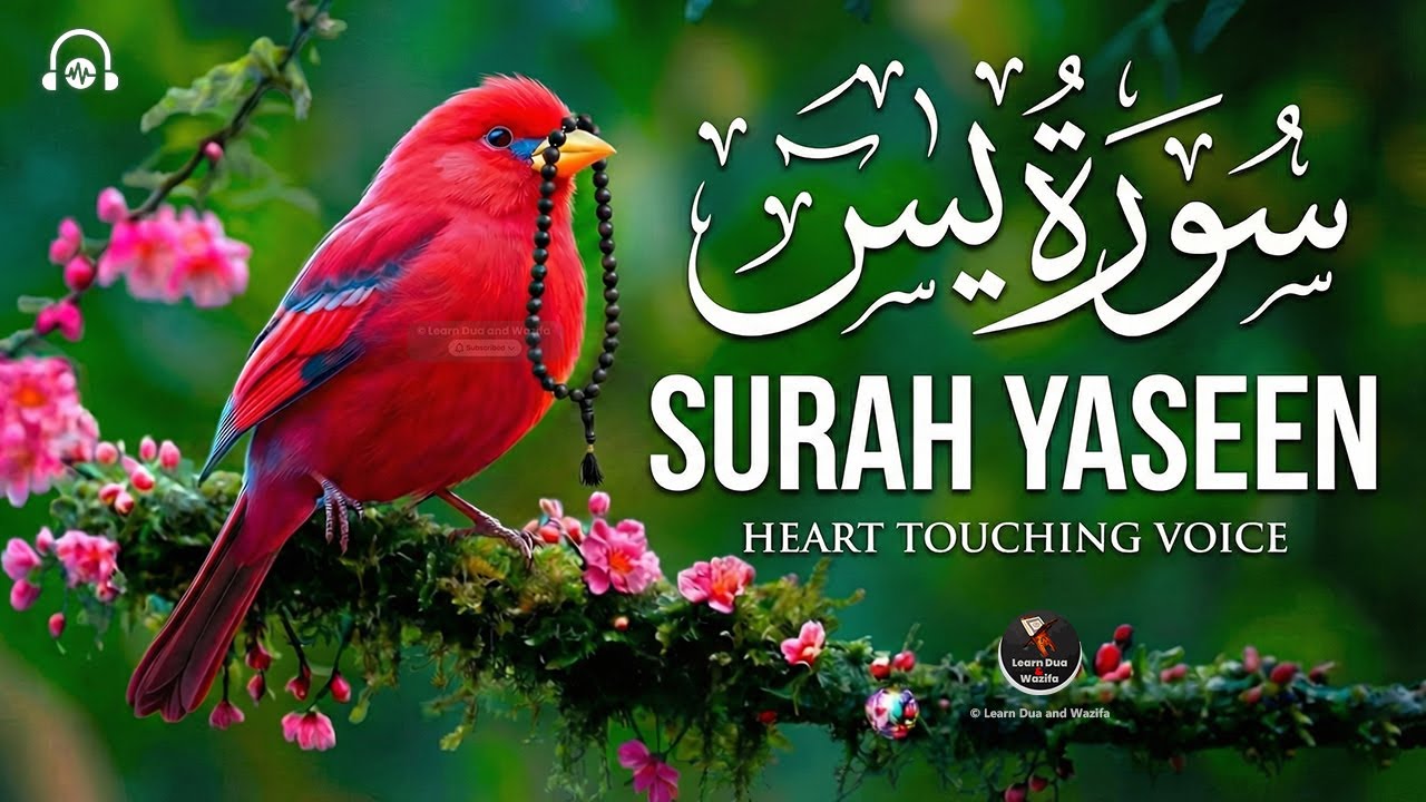 Surah Yasin (Yaseen) for Healing | Relieve Stress, Depression & Anxiety | سورة يس | #surahyaseen