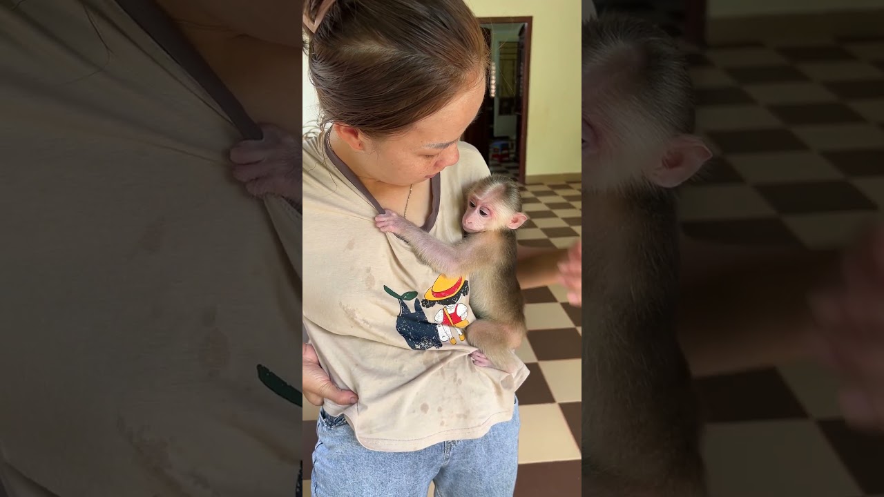 Pavpav Like Newborn baby Need Mom..............