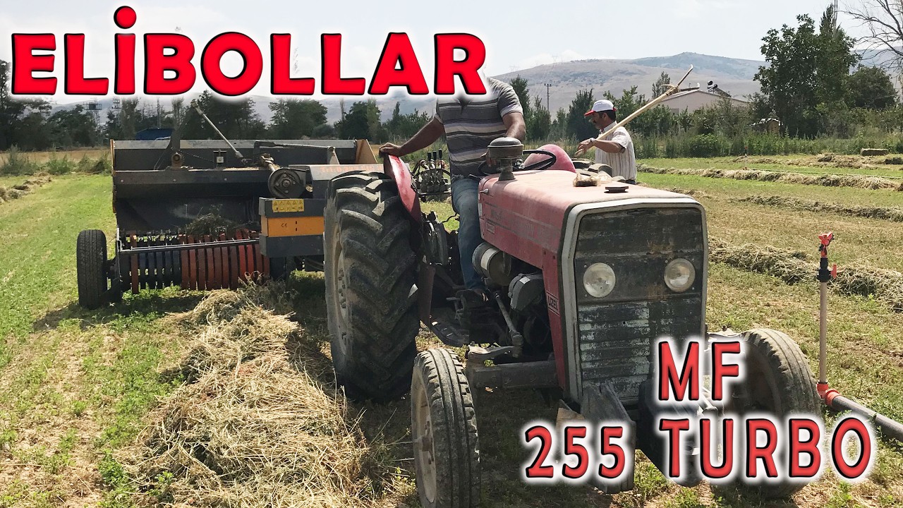 Elibollar ve 255 Turbo ile 3. Biçim Yonca Balyası Yapımı