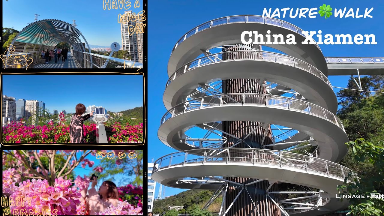 Xiamen China Diary| 4K Mountains-to-Sea Trail tour trail walking, Nature relaxing 廈門街景 山海健康步道vlog