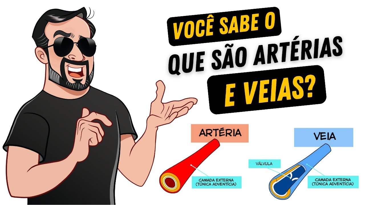 Você sabe o que são ARTÉRIAS e VEIAS?
