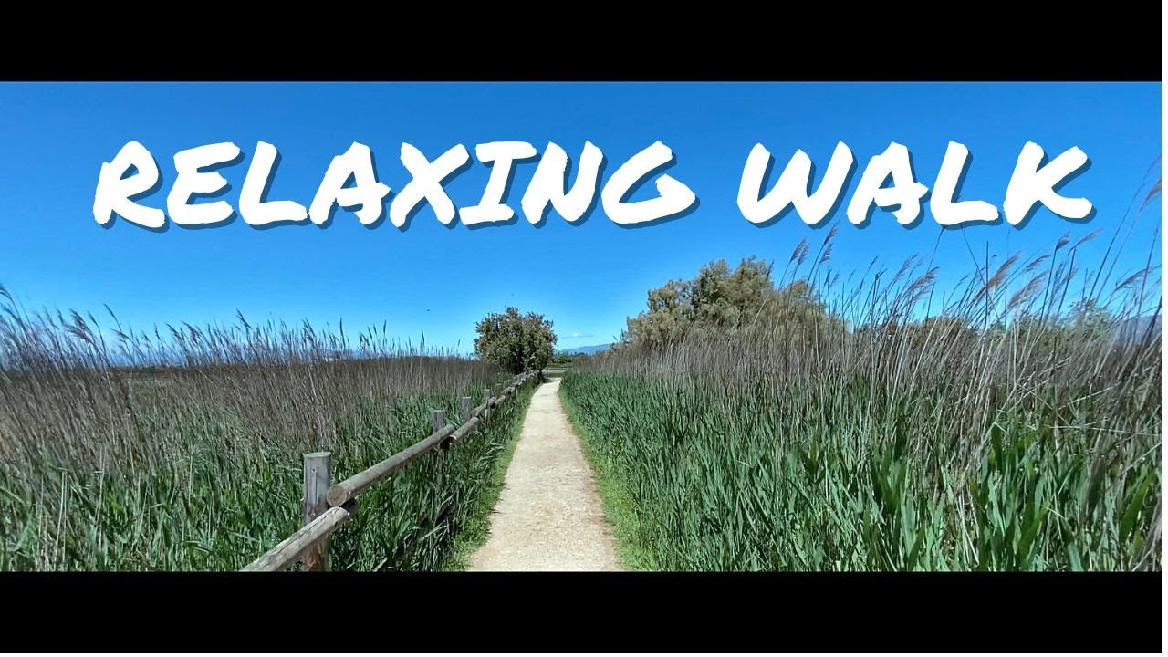 4k PASEO RELAJANTE | ESPAÑA | CAMINANDO por los AIGUAMOLLS de L´EMPORDÀ