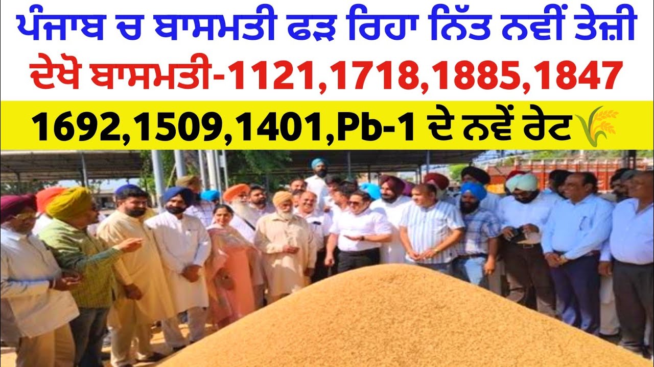 ਬਾਸਮਤੀ ਫੜ ਰਿਹਾ ਨਿਤ ਨਵੀ ਤੇਜੀ basmati rate 1121 1718 1885 1886 1847 1692 1509 1401 Pb-1 taja Mandibhav